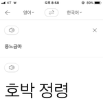 왜 이게 호박<b>정령</b>이지