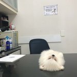 남사친이랑 <b>서먹</b>해졌어ㅠㅠㅠ도와줘