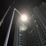 [조언부탁해] 강아지 키우는 애들앙