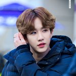 더유닛 탑독이들 보고 가세요~~
