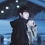 [라이관린] 어떻게 유전자가 결합을 해야 관린이가 <b>완성</b>되는걸까?