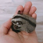 [방탄소년단] 전하사님 애들 숙소 <b>놀러</b>가셨나봐ㅋㅋㅋ(수정)