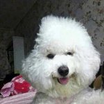 [추반] 추반! 하루<b>종안</b> 친구한테 연락 아예 안올때