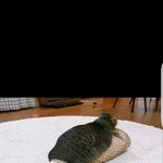 [강다니엘] 남들 보란듯이 좋은 <b>직장</b> 다니고싶구