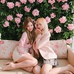 일본은 왜 키스를안하고 뽀뽀만하냐