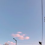 아이폰 꿀팁좀 알려줘ㅠㅠ