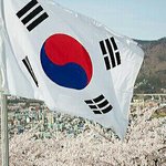 [드루와] <b>굽</b> 낮은 운동화 추천 좀