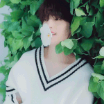 눈<b>정화</b>짤