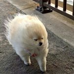 패딩이 없는데 <b>위에</b> 뭐입어야해