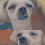[드루와] 고등학교 추반 부탁해 ㅜㅜ!!!