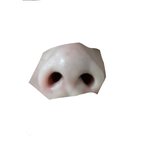 [ㅋㅋㅋㅋㅋ] 매운고추 만진<b>손</b>으로 콧구멍판 <b>사람</b>인데