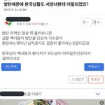 이거 개웃기지 않냐