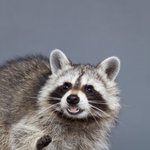 sm 및 대형3사 못이겨 이건 팩트야