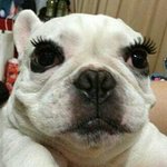 <b>초성</b> 해석좀ㅜㅜ