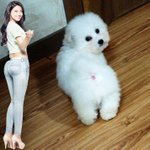 [댓글부탁해] <b>눈살</b> 많은데 섀도우쓰면