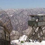 근데 이기적인게 좋은것같기도하고