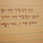 [상담] 오늘도 헤어짐에 몸부림 치는 모든 헤다판 사람들을 위해...