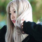 요즘 하니 좀 봐봐!!!!!!!!!!