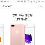 [조언부탁해] 아이폰