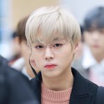 [박지훈] 타멤팬)오늘..윙깅이 무슨일..?