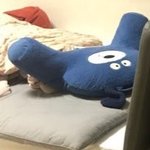 [여자의심리] 연상짝녀에게 곰인형때문에 차였습니다 이유를 모르겠어요