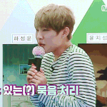 [박우진] 기념으로 오늘 벽반할 참새최애 모여라