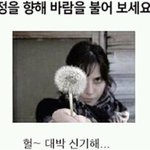 [드루와] <b>미방</b>) 얘들아 우리 동생 진짜;;; 대박