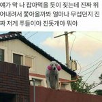 싸운 <b>선도</b>부가 지나갈때마다 멈춰서 째려보고 감 어떻게 대처해야해...