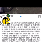 태연 3종 교통사고 봤어?