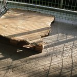 [큰멍멍이] 1년동안 동네 빌라주차장에서 유기견 생활을 했던 ,...