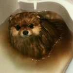 [드루와] 고2 <b>문법</b> 아예 모르는데 책ㅊㅊ좀