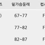 여자 속옷 어떤걸로 <b>사야</b>하는지 도와줘.. 사이즈