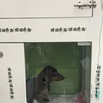 너무화가나고 슬픕니다.. 한번만끝까지 읽어주세요