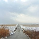 [큰멍멍이] 1년동안 동네 <b>빌라</b>주차장에서 유기견 생활을 했던 ,...