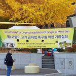 제33차 개,고양이 유기학대도살 금지 특별법 제정을 소망하는 목요집회가...