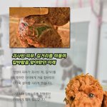엉덩이 피부가 <b>괴사</b>된 채 떠돌던 미래