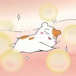 [EXO] 근데 진짜 이 시즌이 기분 좋은 이유가