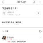 [드루와] 머리에 좋은 고삼  몸에좋은 중삼  불로장생 초삼