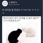 말빨 조따 센 사람99