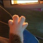 [드루와] 나 유명아이돌 콘서트 <b>vip</b>가는데 도와줘