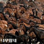 [댓글부탁해] 양아치들 <b>술집</b>에서 일 많이하는듯