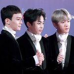 [EXO] 아진짜 <b>다람쥐</b>들 찰떡아니냐 졸귀