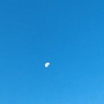 [꼭조언부탁] 공시생인데 엄마때문에 스트레스받아 죽을것같아요..