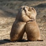 태연 <b>안티</b>들이나 까지 그외에는 관심 끊음