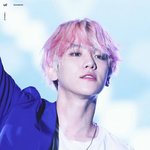 [EXO] <b>핀터</b>에서 주운 과질짤들