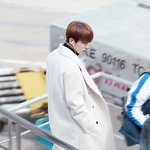 [세븐틴] 이거 뭐야...?