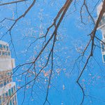 [공판] 법정러 있어요? 고1 <b>or</b> 고2