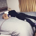 [BAP] 쭈농 인별+<b>모찌</b>