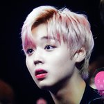 [박지훈] <b>호명</b>된 후 놀란 핑쿠토끼