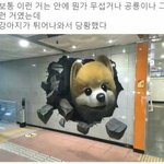[댓글부탁해] 더유닛,<b>믹스</b>나인 망함?